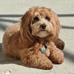 Meet your Posher, Linda